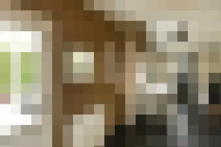 Korte Bemmelseweg 28 Elst thumbnail 19
