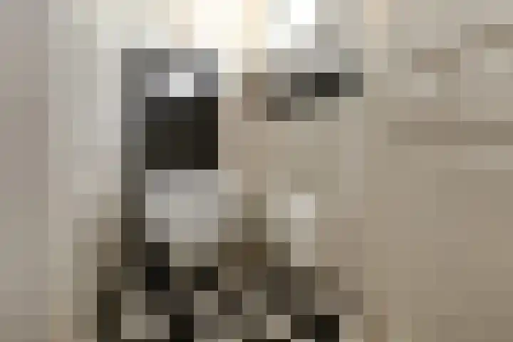 Korte Bemmelseweg 28 Elst thumbnail 25