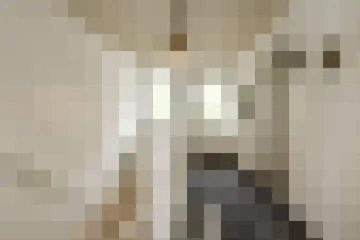 Korte Bemmelseweg 28 Elst thumbnail 27