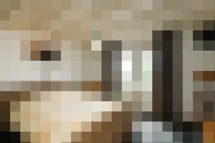 Korte Bemmelseweg 28 Elst thumbnail 28