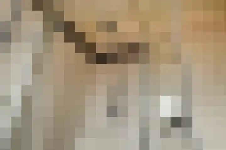 Korte Bemmelseweg 28 Elst thumbnail 36