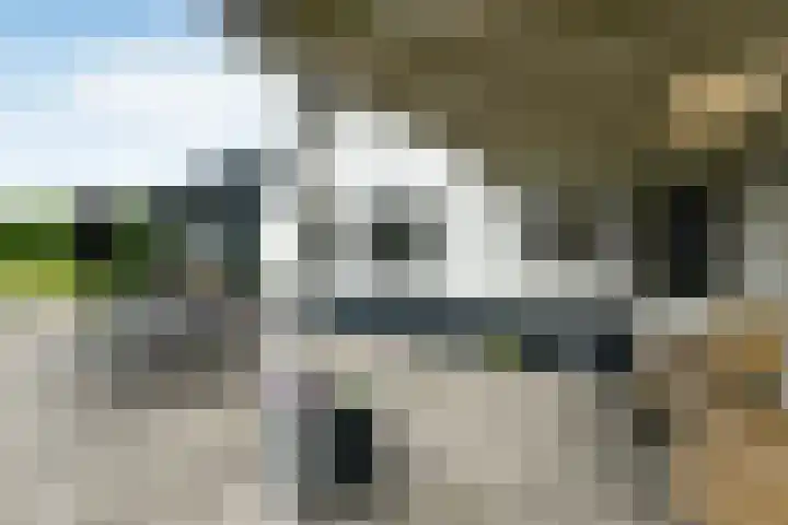 Korte Bemmelseweg 28 Elst thumbnail 38