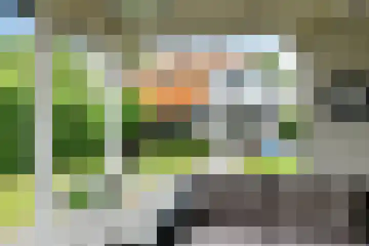 Korte Bemmelseweg 28 Elst thumbnail 4