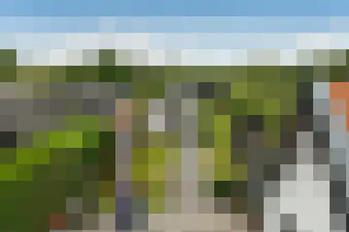 Korte Bemmelseweg 28 Elst thumbnail 5