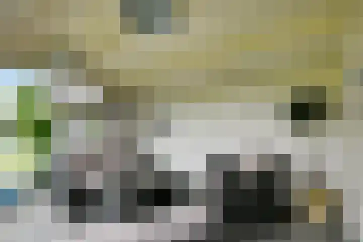 Korte Bemmelseweg 28 Elst thumbnail 50