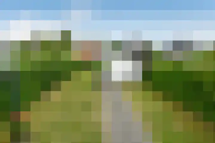 Korte Bemmelseweg 28 Elst thumbnail 7