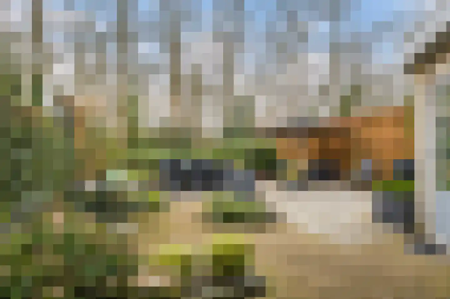 Korte Bergweg 29 Huis ter Heide thumbnail 25