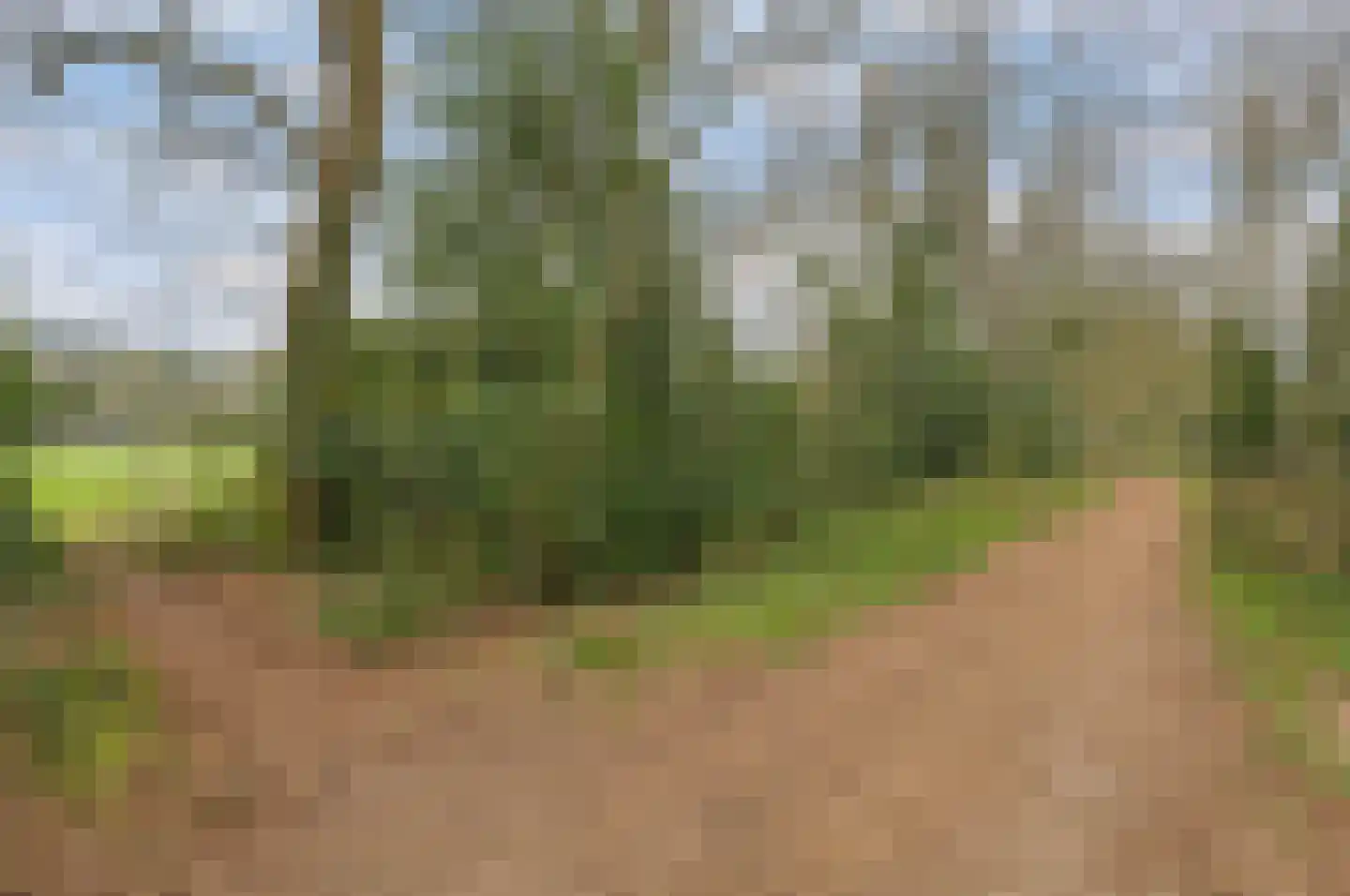 Korte Bergweg 29 Huis ter Heide thumbnail 45