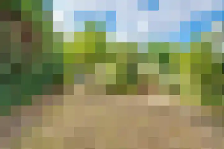 Korte Bergweg 30 Huis ter Heide thumbnail 31