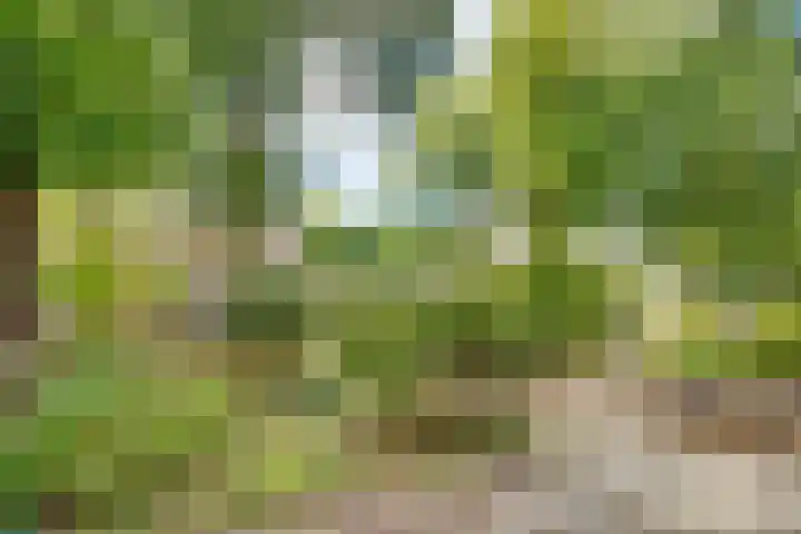 Korte Bergweg 30 Huis ter Heide thumbnail 4