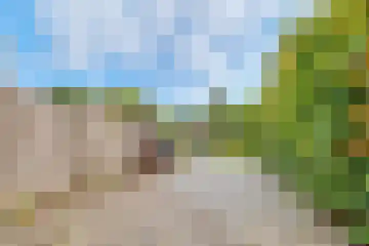 Korte Bergweg 32 Huis ter Heide thumbnail 32