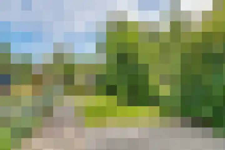 Korte Bergweg 32 Huis ter Heide thumbnail 35