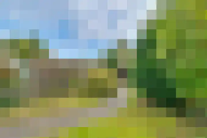 Korte Bergweg 32 Huis ter Heide thumbnail 36