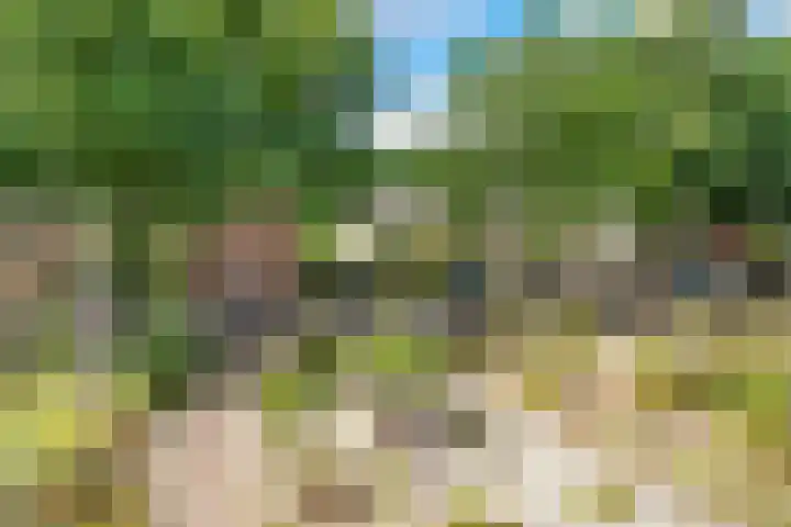 Korte Bergweg 40 Huis ter Heide thumbnail 16