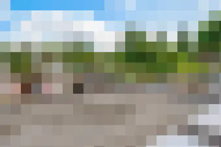 Korte Bergweg 40 Huis ter Heide thumbnail 21