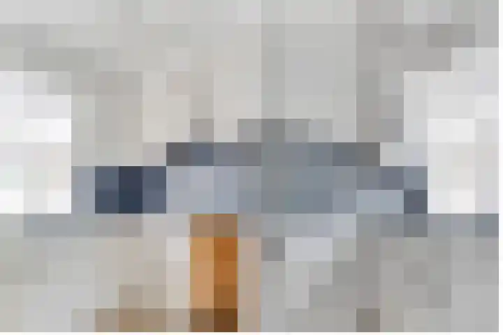 Korte Bergweg 40 Huis ter Heide thumbnail 8