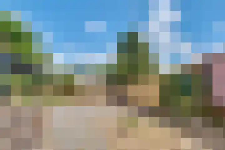 Korte Bergweg 44 Huis ter Heide thumbnail 31