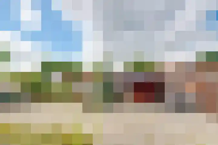 Korte Bergweg 44 Huis ter Heide thumbnail 33