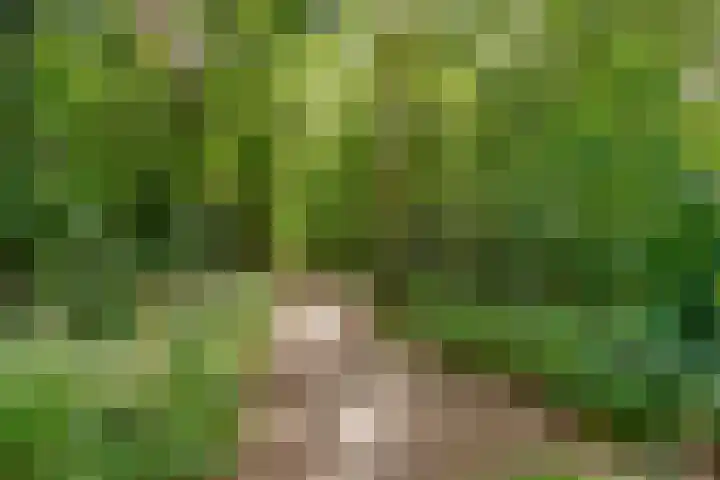 Korte Bergweg 44 Huis ter Heide thumbnail 35