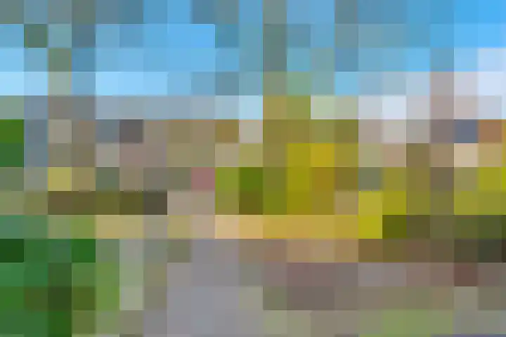 Korte Bergweg 56 Huis ter Heide thumbnail 6