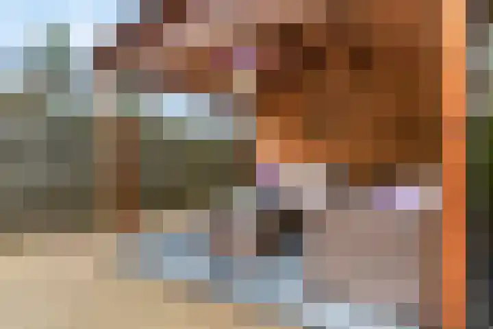 Korte Binnenhoek 4 b Tiel thumbnail 10