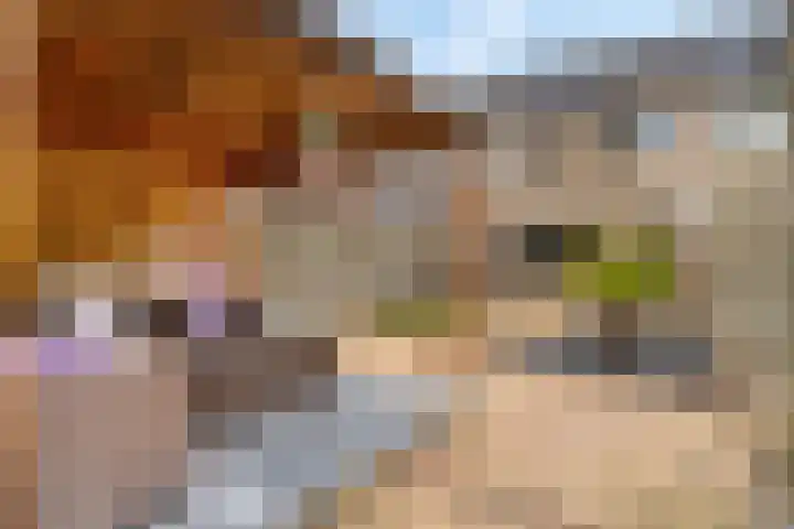 Korte Binnenhoek 4 b Tiel thumbnail 11
