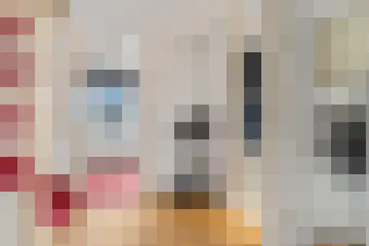 Korte Binnenhoek 4 b Tiel thumbnail 20