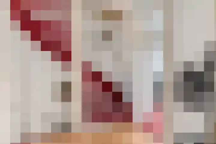Korte Binnenhoek 4 b Tiel thumbnail 26