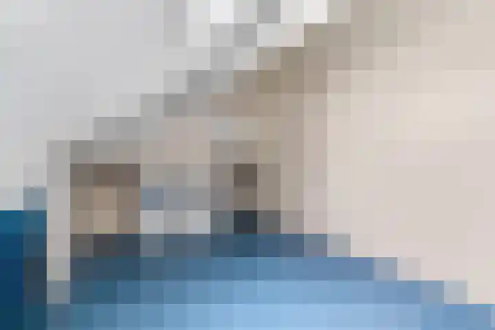 Korte Binnenhoek 4 b Tiel thumbnail 29