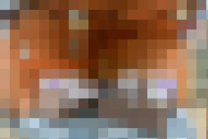 Korte Binnenhoek 4 b Tiel foto 3