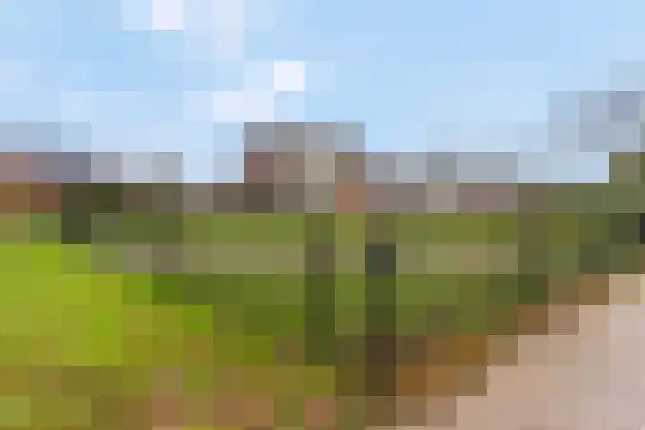 Korte Binnenhoek 4 b Tiel thumbnail 30