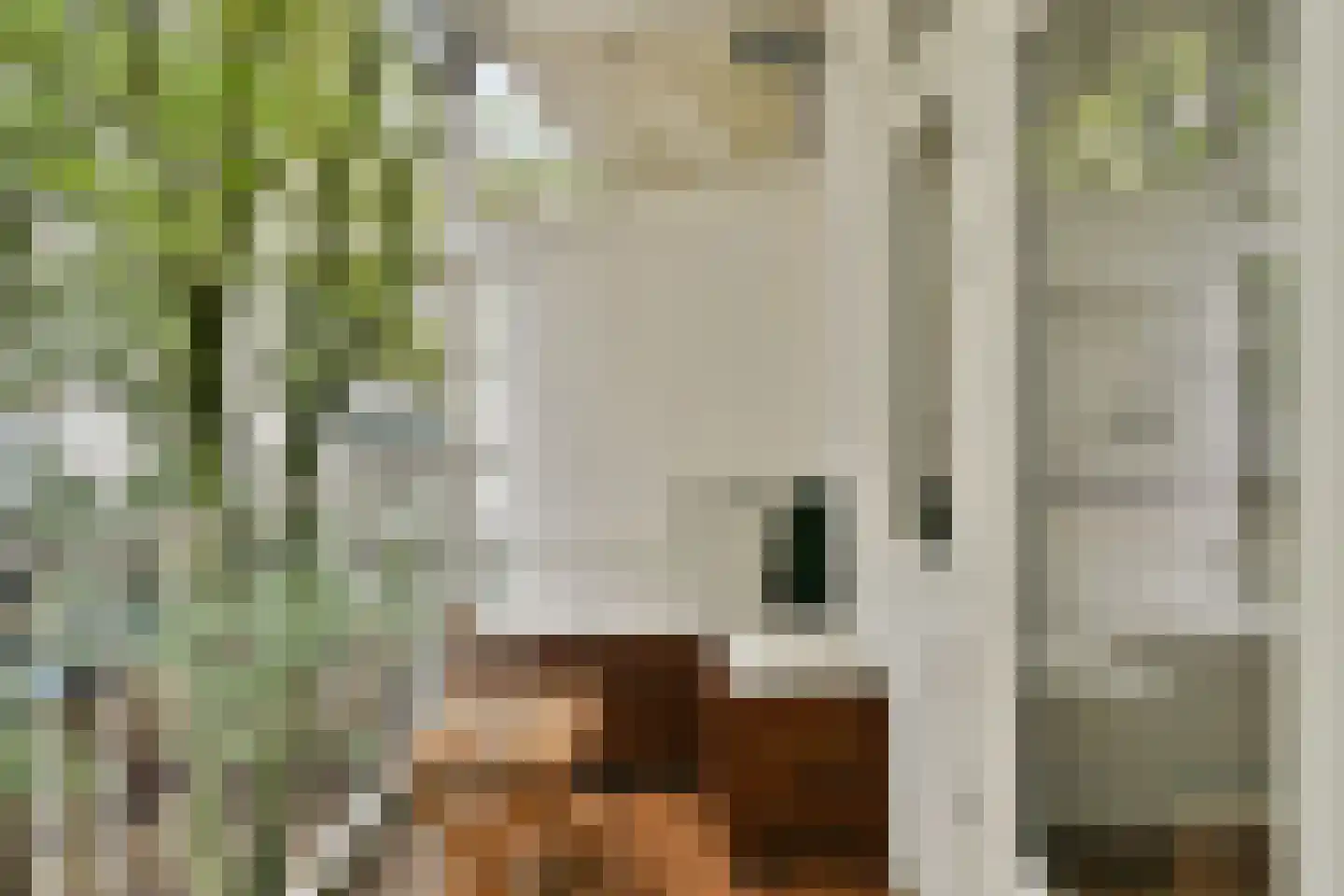 Korte Blekersstraat 6 2 Amsterdam thumbnail 12