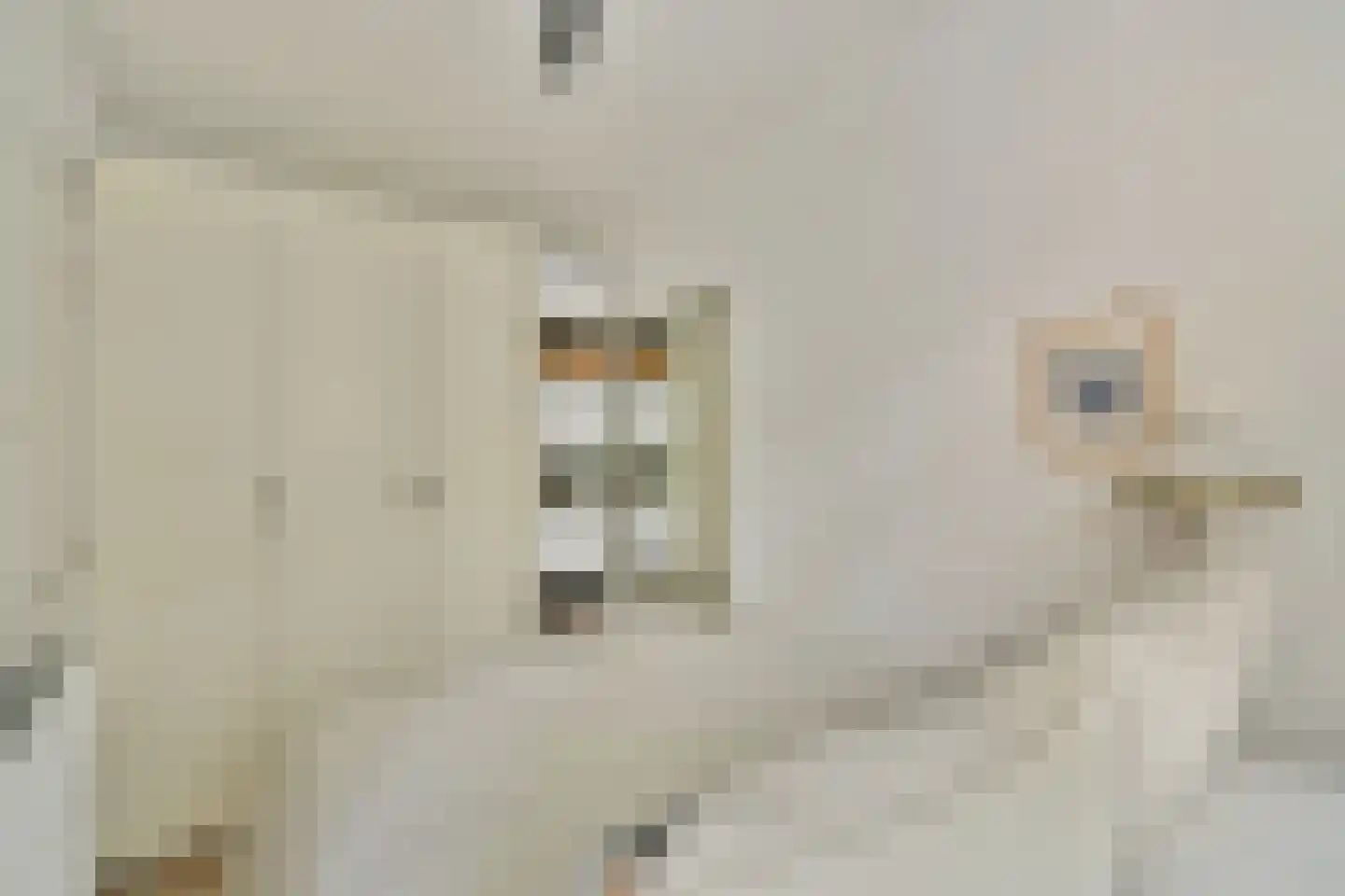 Korte Blekersstraat 6 2 Amsterdam thumbnail 14