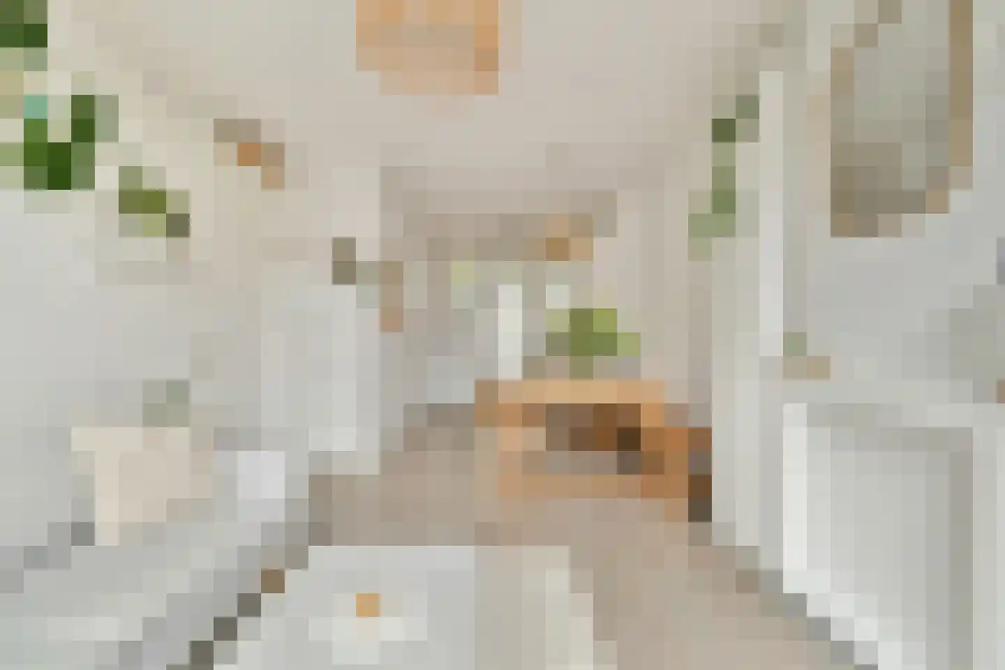 Korte Blekersstraat 6 2 Amsterdam thumbnail 5