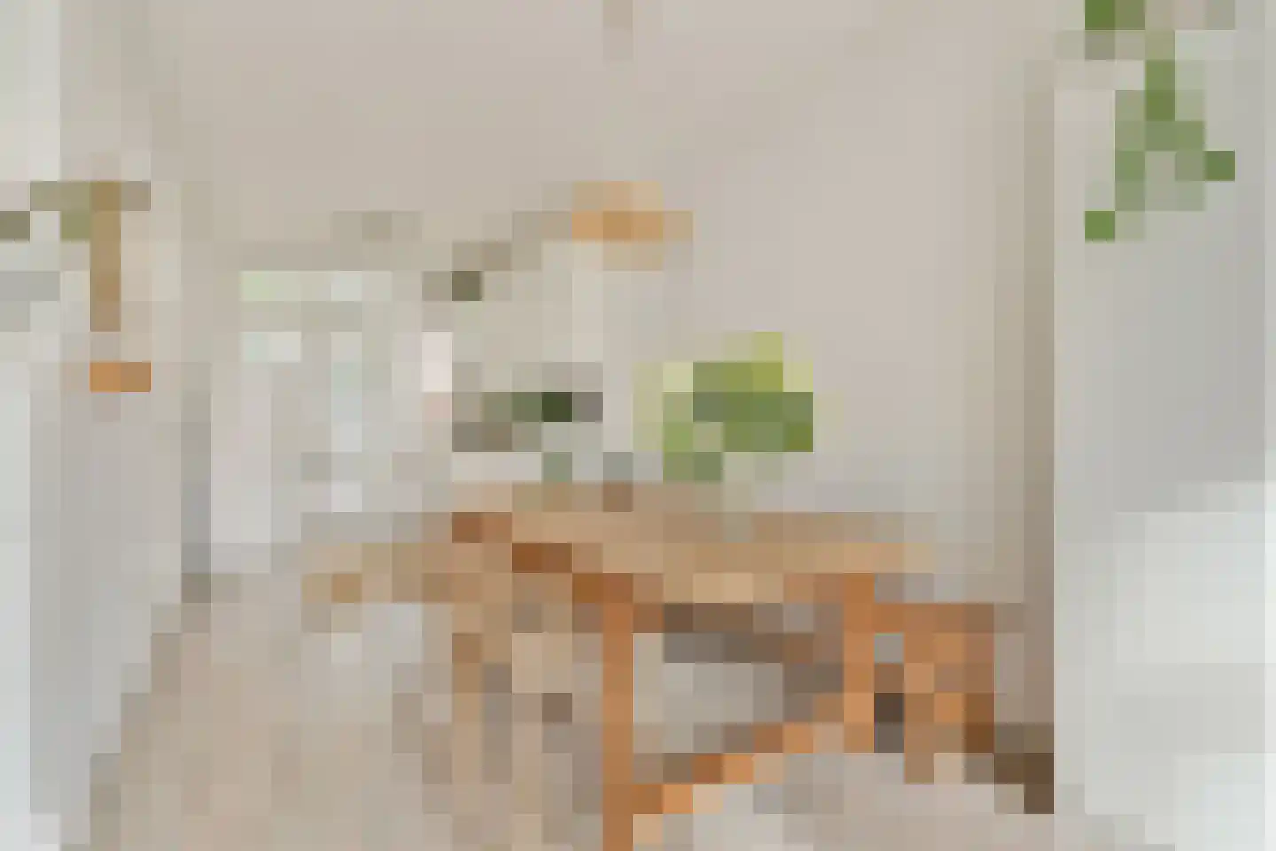 Korte Blekersstraat 6 2 Amsterdam thumbnail 7