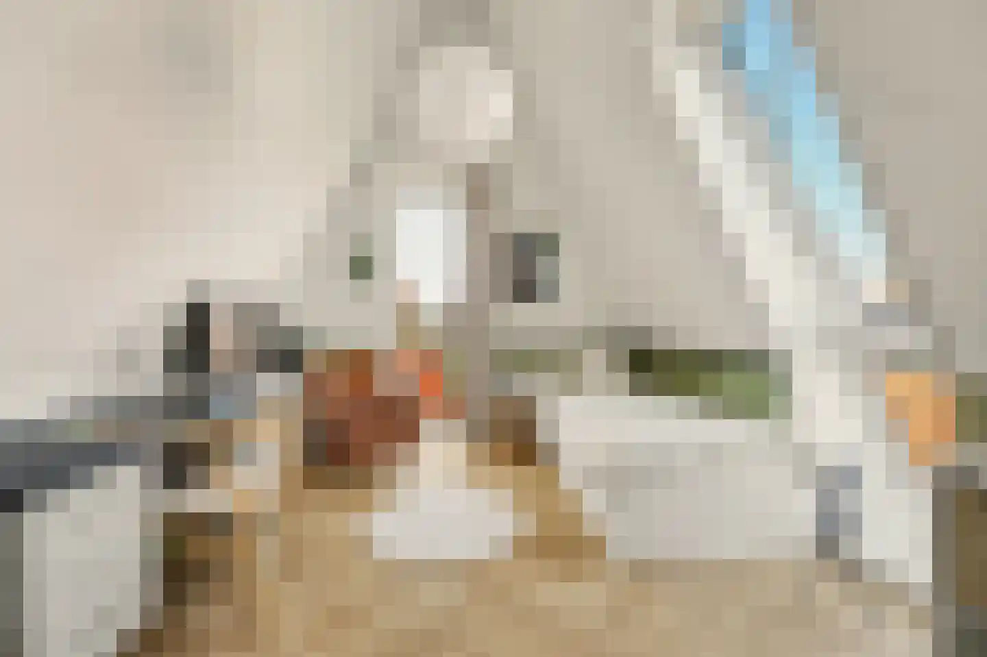 Korte Blokweg 102 Zierikzee thumbnail 38