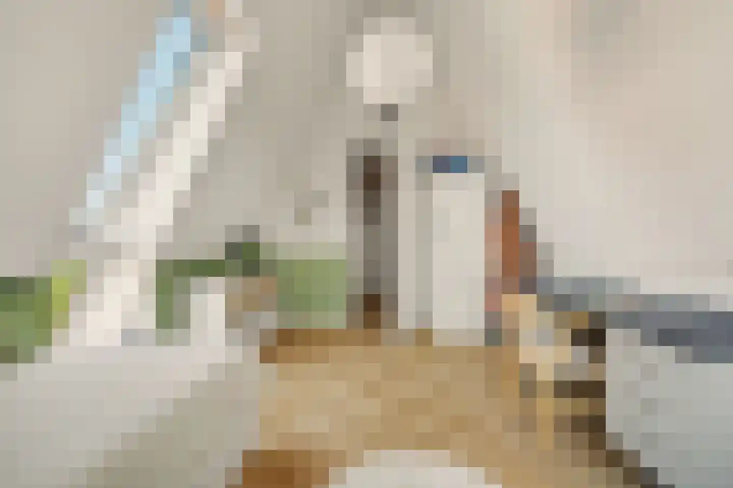 Korte Blokweg 102 Zierikzee thumbnail 39
