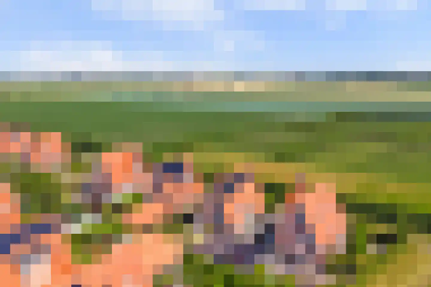 Korte Blokweg 102 Zierikzee thumbnail 49