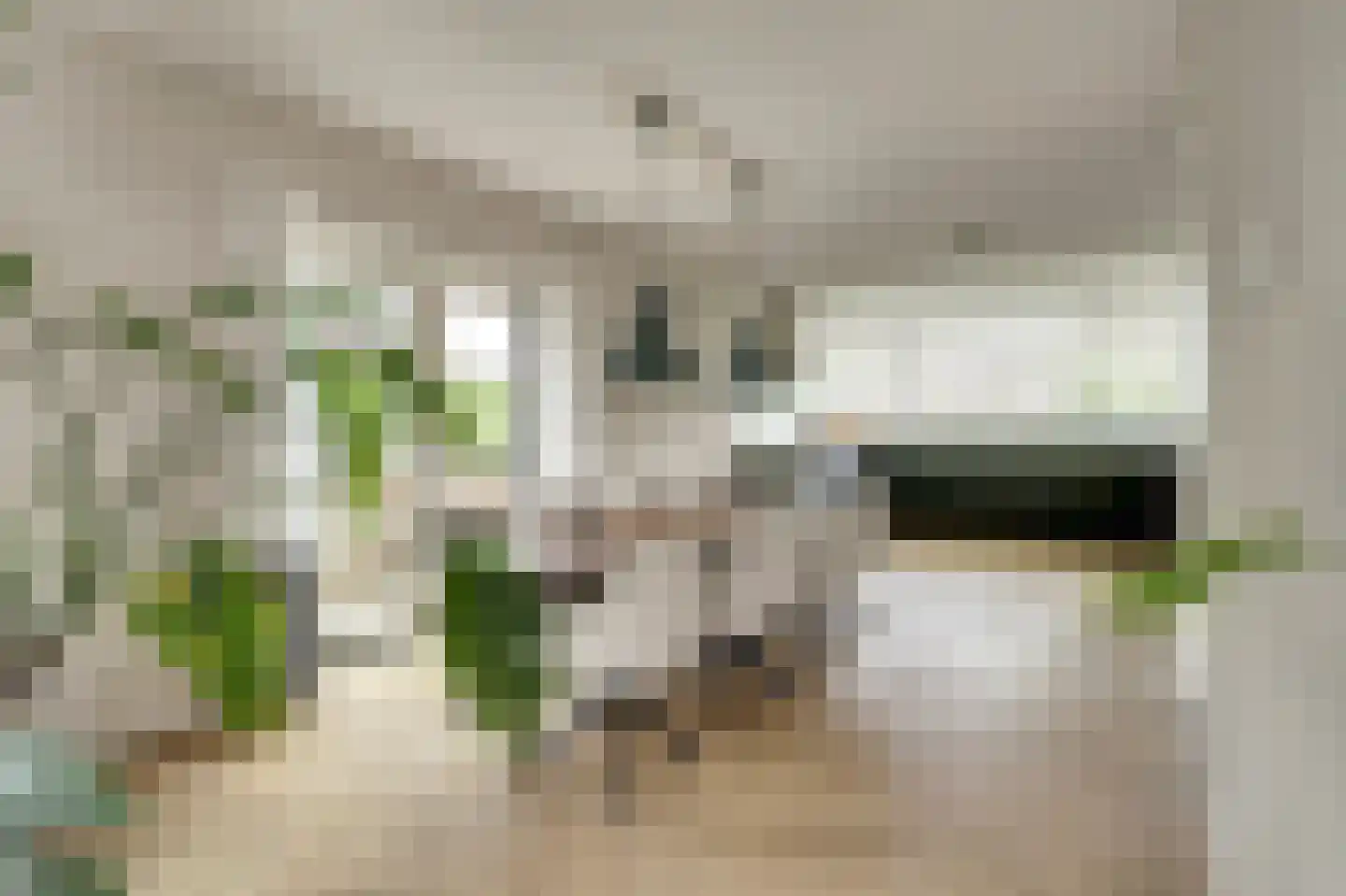 Korte Blokweg 72 Zierikzee thumbnail 15