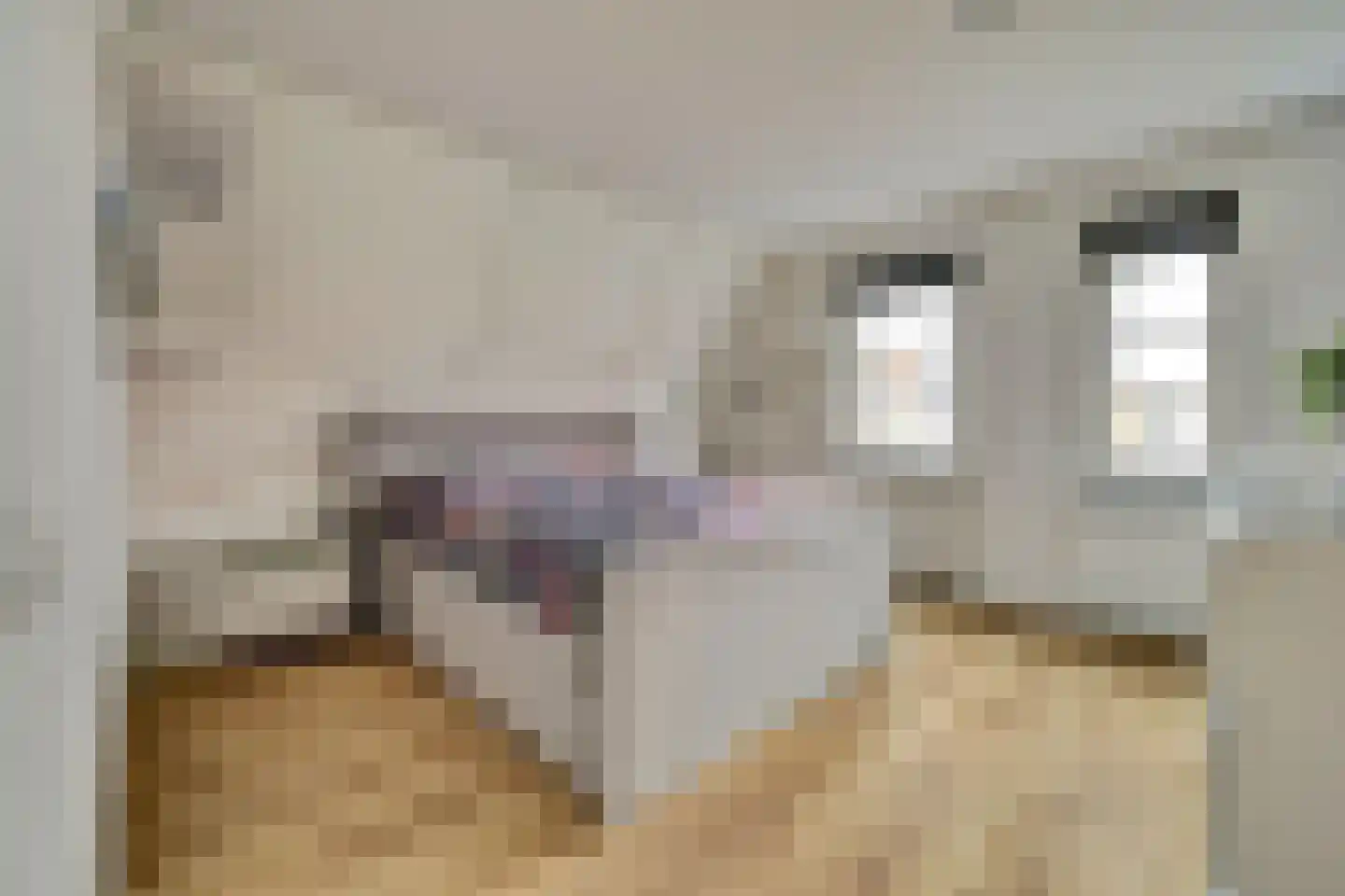 Korte Blokweg 72 Zierikzee thumbnail 21