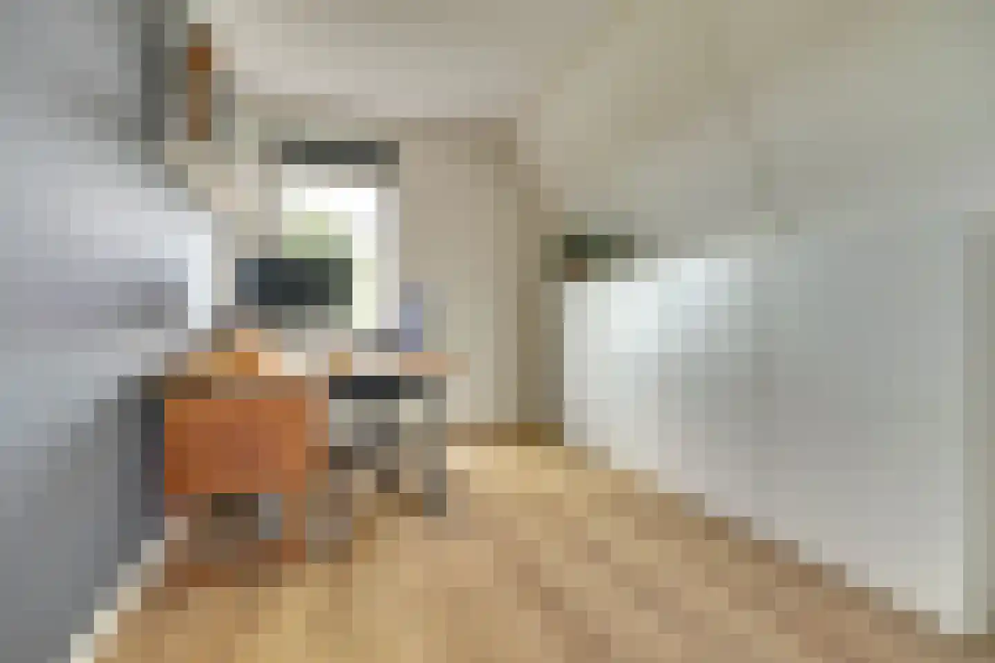 Korte Blokweg 72 Zierikzee thumbnail 24