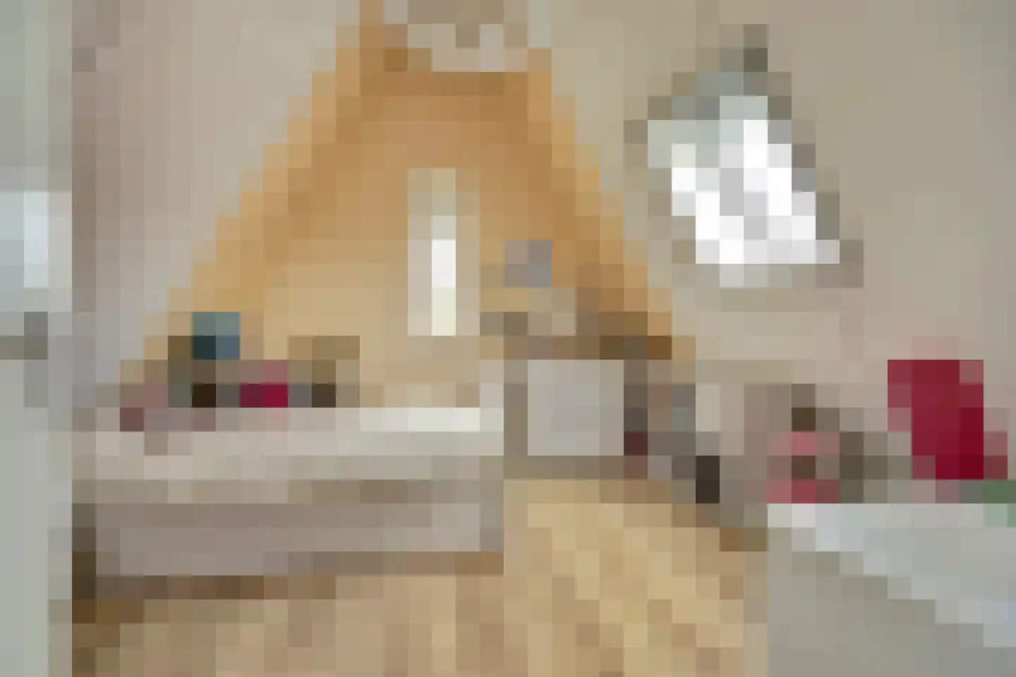 Korte Blokweg 72 Zierikzee thumbnail 27