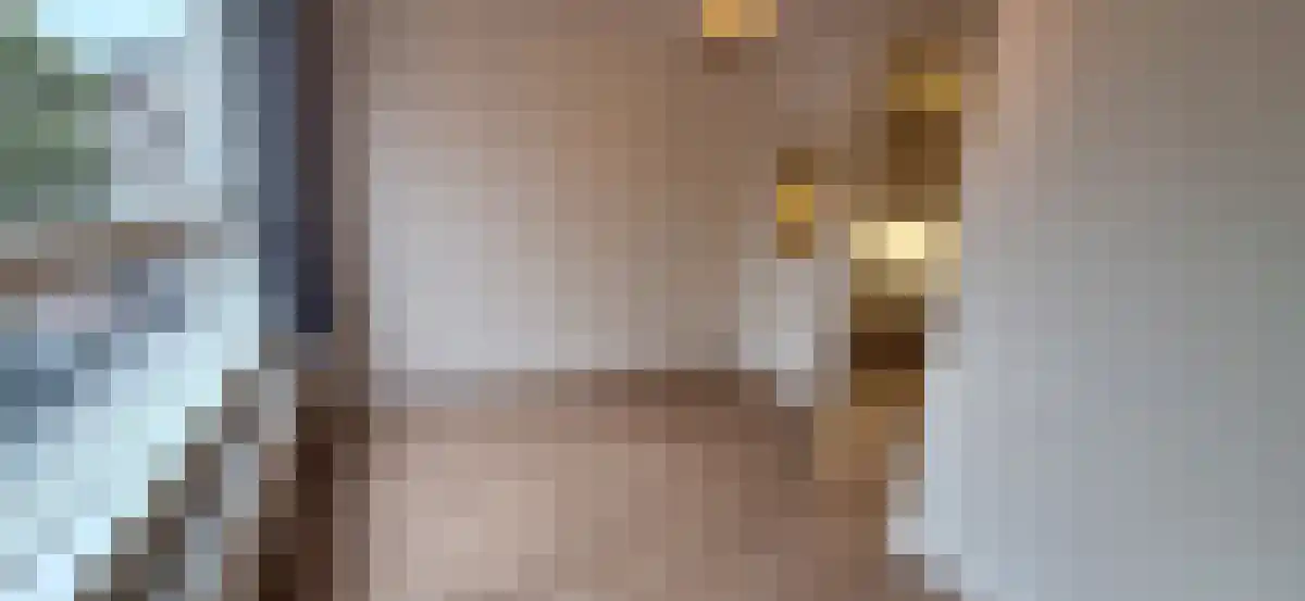 Korte Boschstraat 3 Breda thumbnail 4