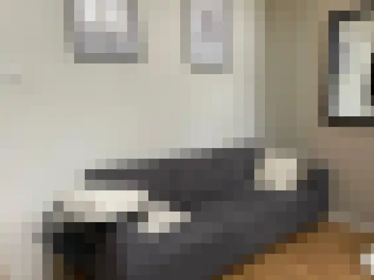 Korte Boschstraat Breda thumbnail 4