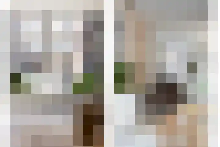 Korte Bosstraat 4 Bergen op Zoom thumbnail 13