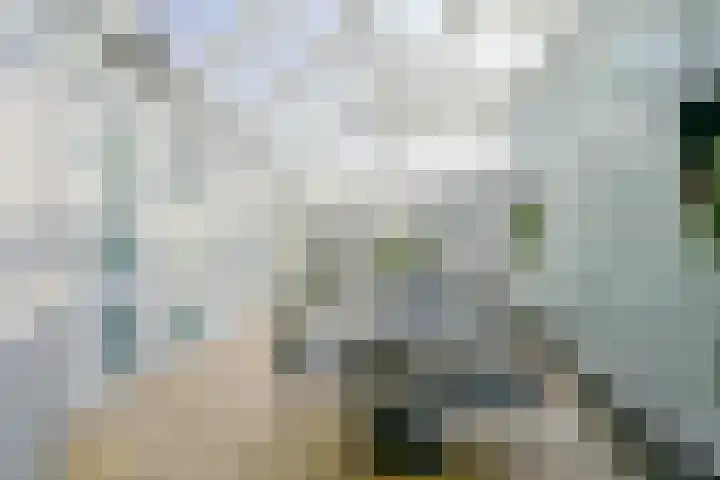Korte Bosweg 2 't Zand thumbnail 11