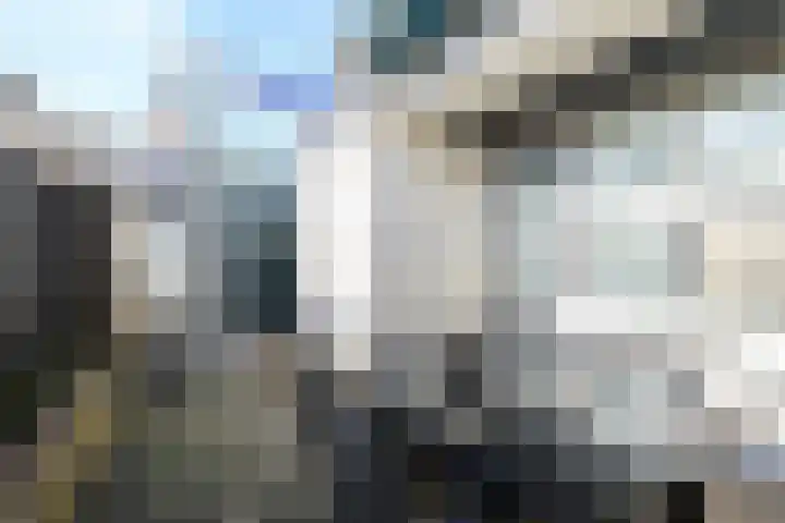 Korte Bosweg 2 't Zand thumbnail 14