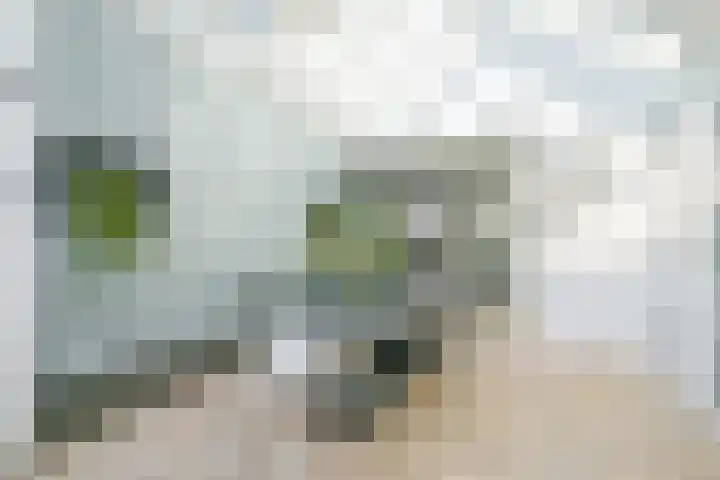 Korte Bosweg 2 't Zand thumbnail 15