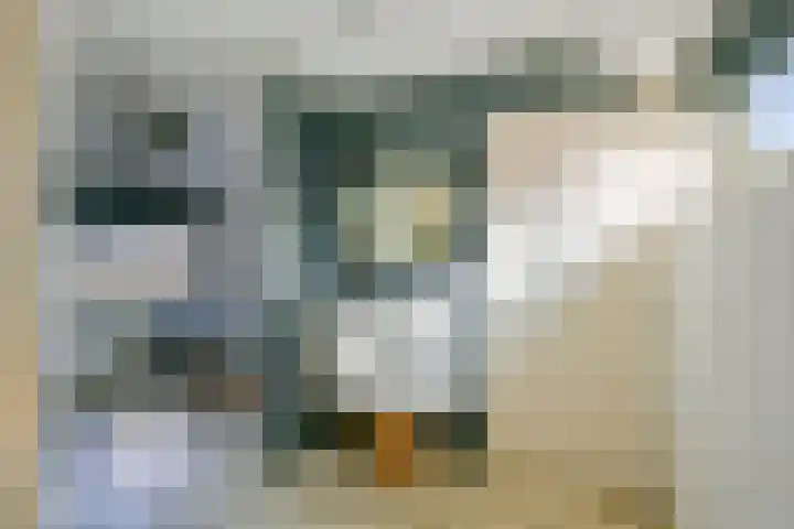 Korte Bosweg 2 't Zand thumbnail 19