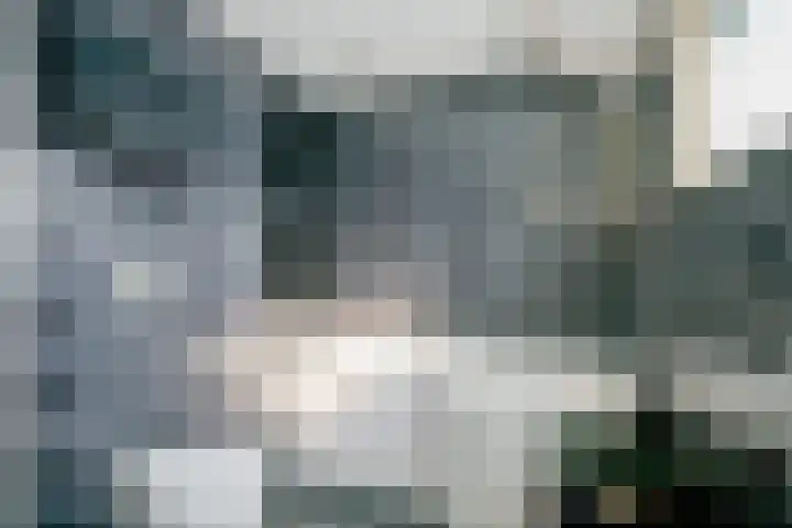 Korte Bosweg 2 't Zand thumbnail 23